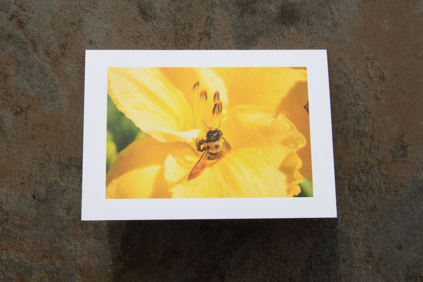 Connecticut Bee Greeting Card