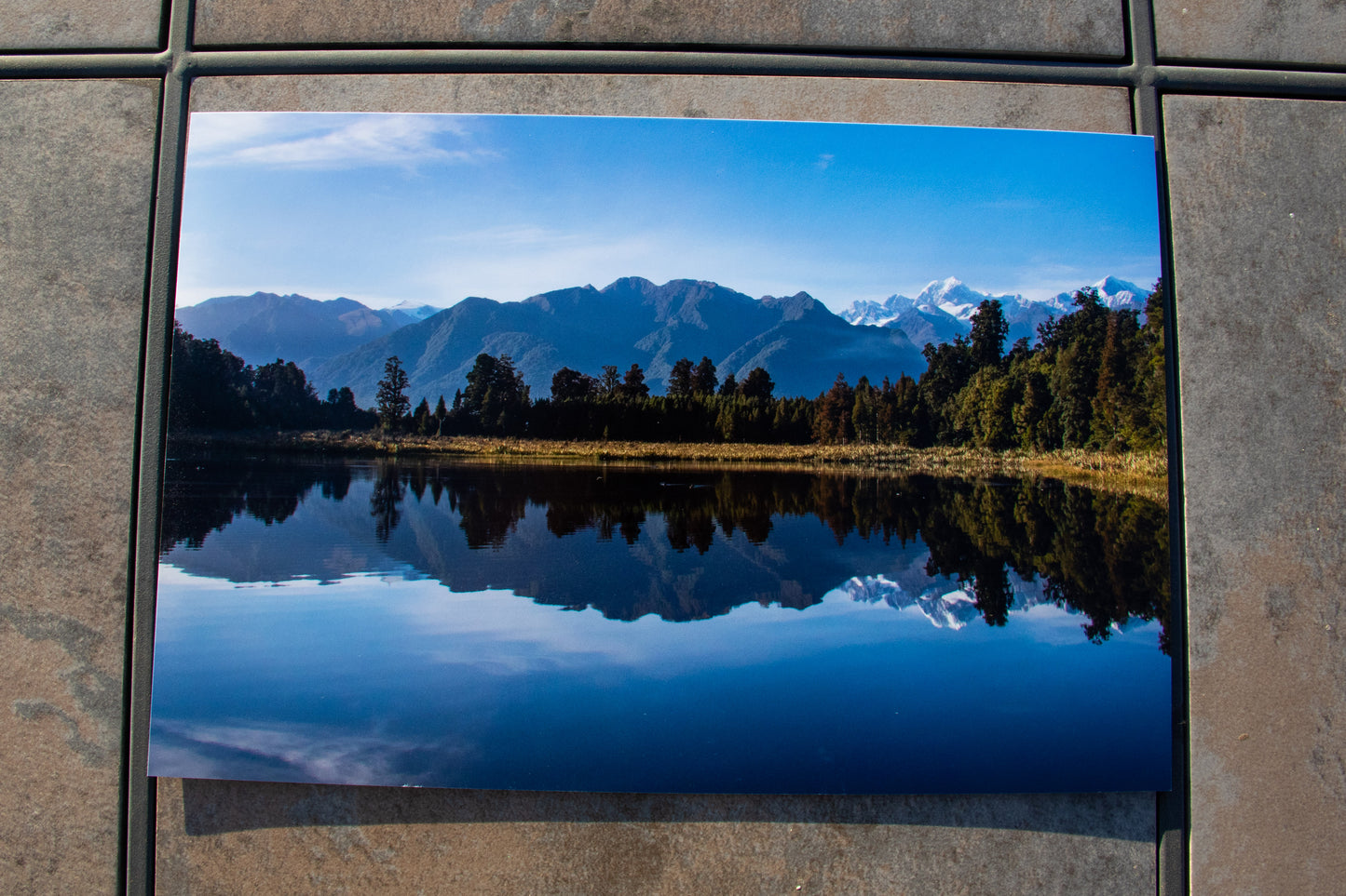 A Perfect Reflection (8x12 Print)